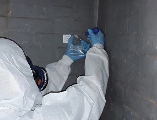 MPs have called for all asbestos to be removed from UK public and commercial buildings within 40 years.